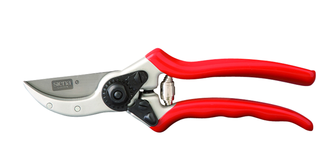 Baumschere 21.5 cm