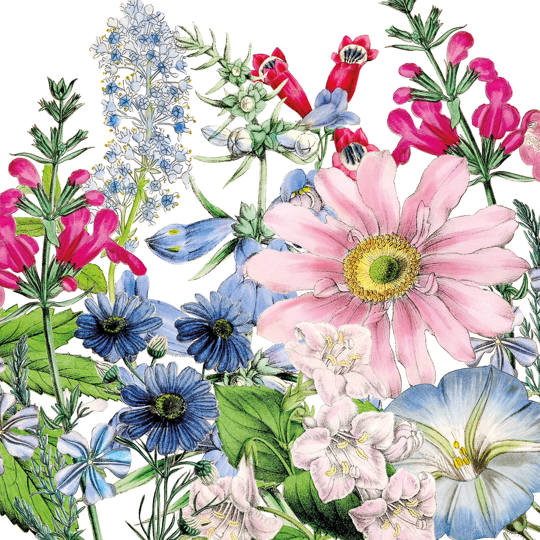 Servietten Fioriculture