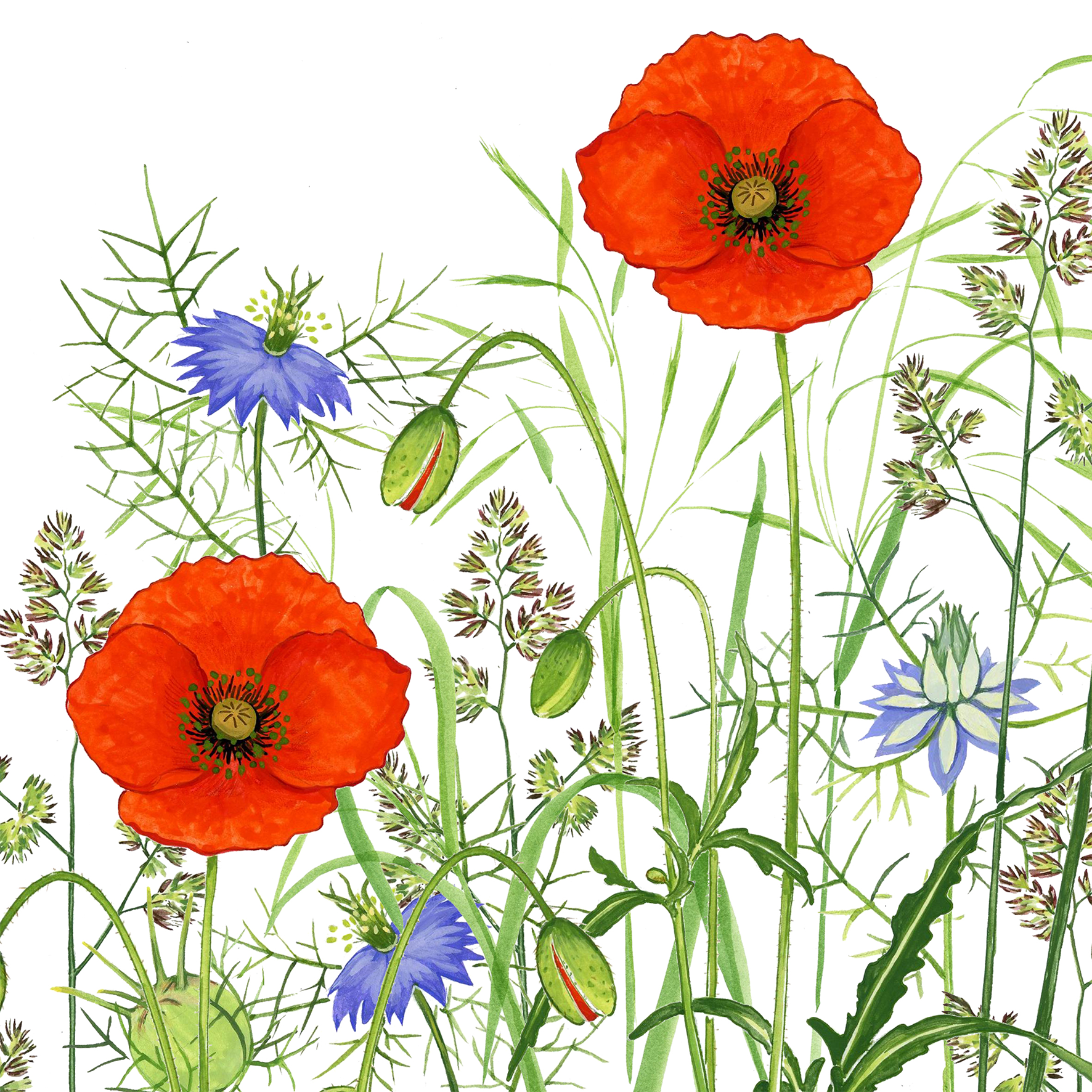 Servietten Poppy Field Servietten Poppy Field