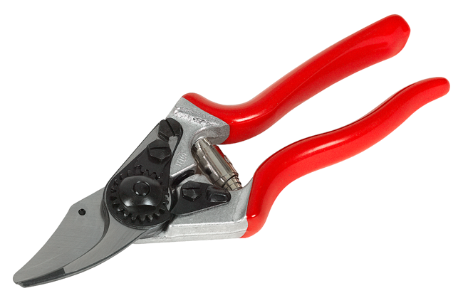 Baumschere Mod. 6