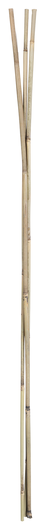 Bambusstab 120 cm 3 Stk. natur