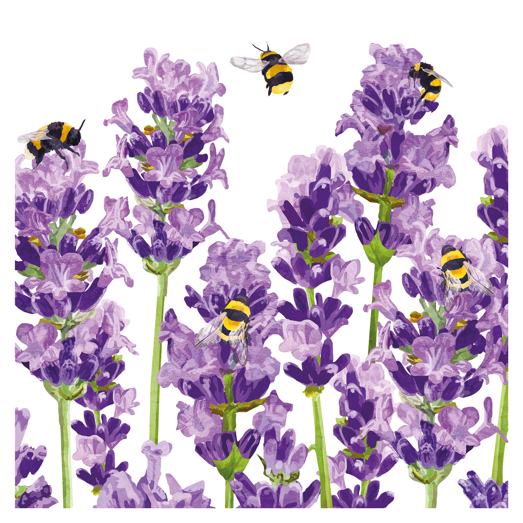 Servietten Bees & Lavender