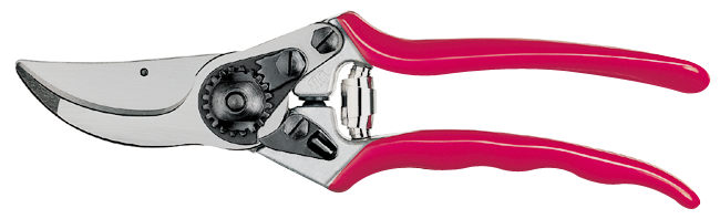Baumschere Mod. 11