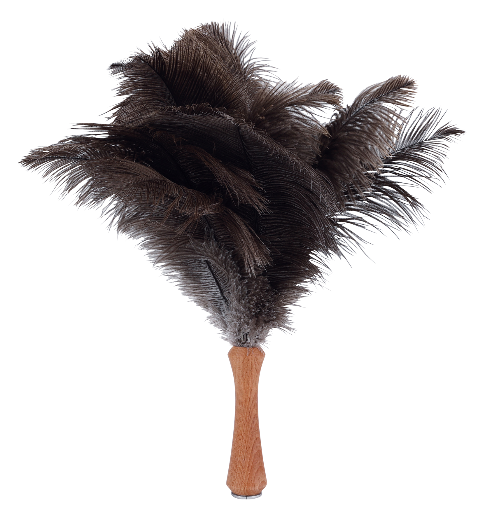 Straussenwedel 40cm