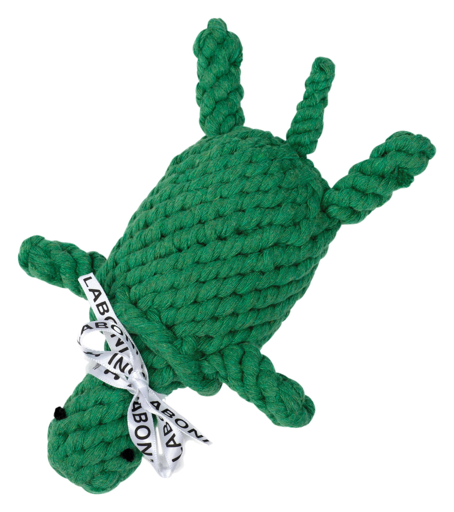 Spielzeug Tina Turtle Spielzeug Tina Turtle