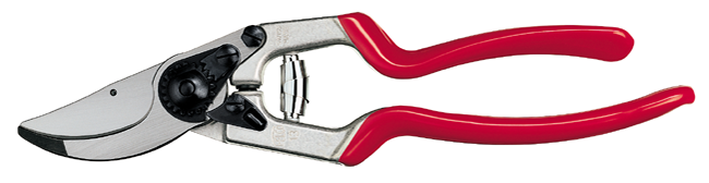 Baumschere Mod. 13