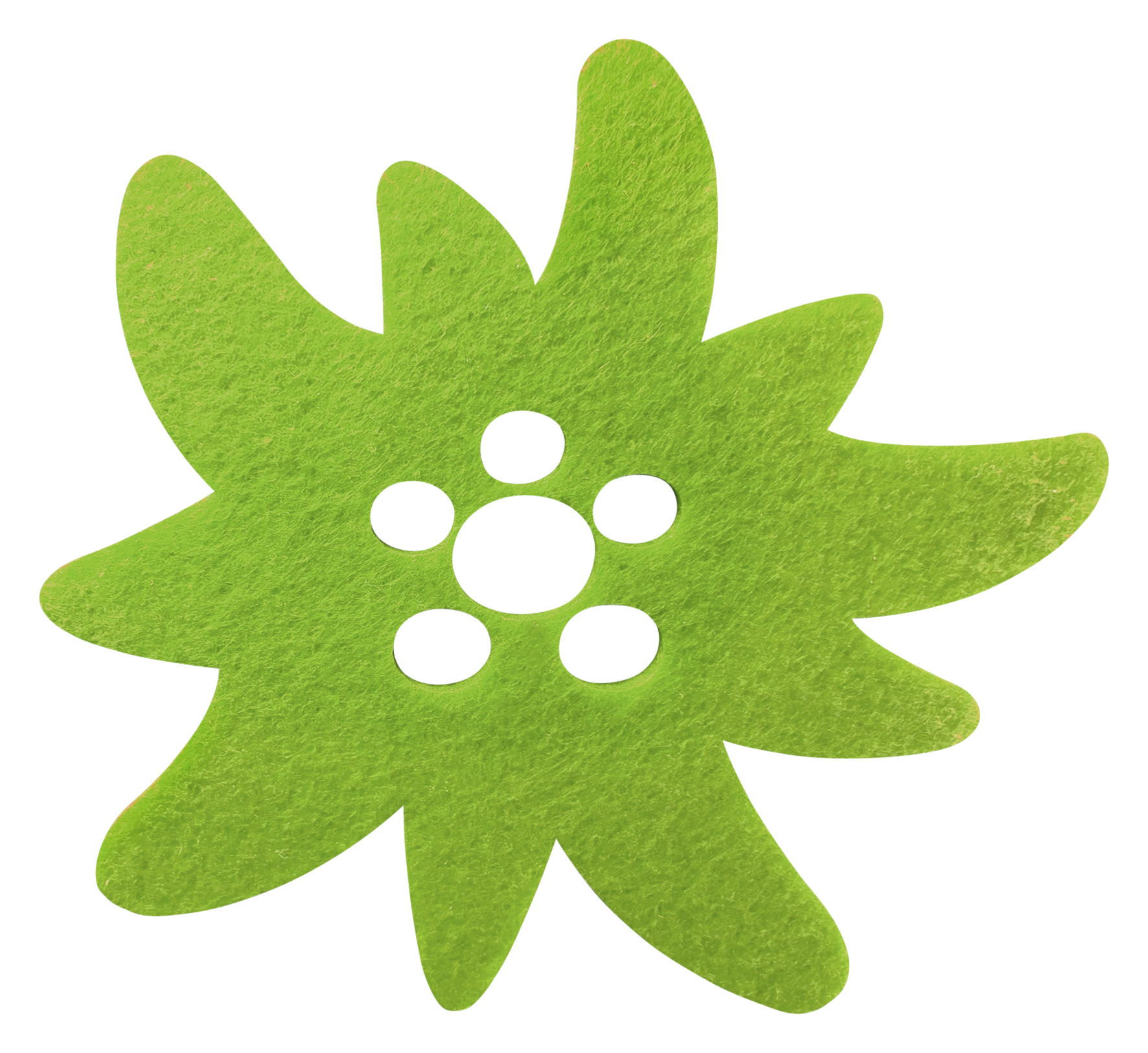 Untersetzer Edelweiss grün 4St