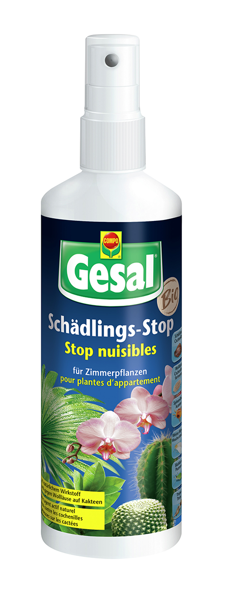 Schädlingsstop Zimmerpflanzen