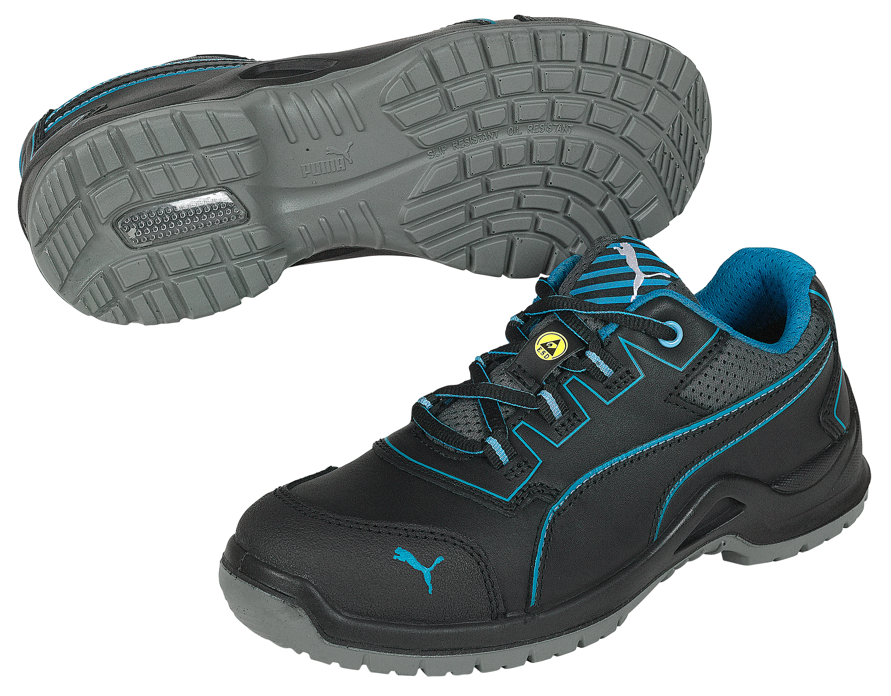 Niobe Blue Low S3 38