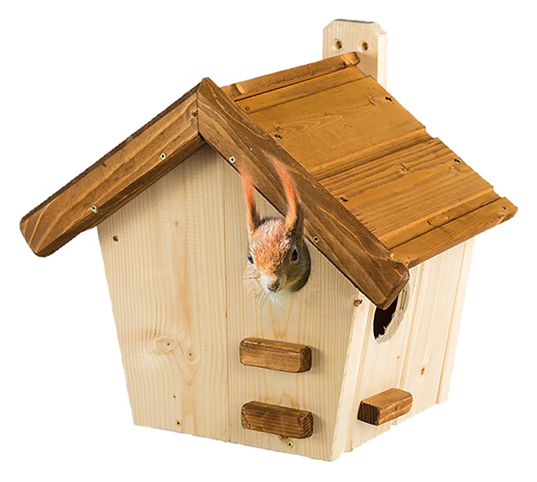 Eichhörnchenk. Maja 37.5x29x36 Eichhörnchenk. Maja 37.5x29x36