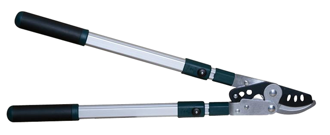 Bypass Baumschere Pro 67 cm