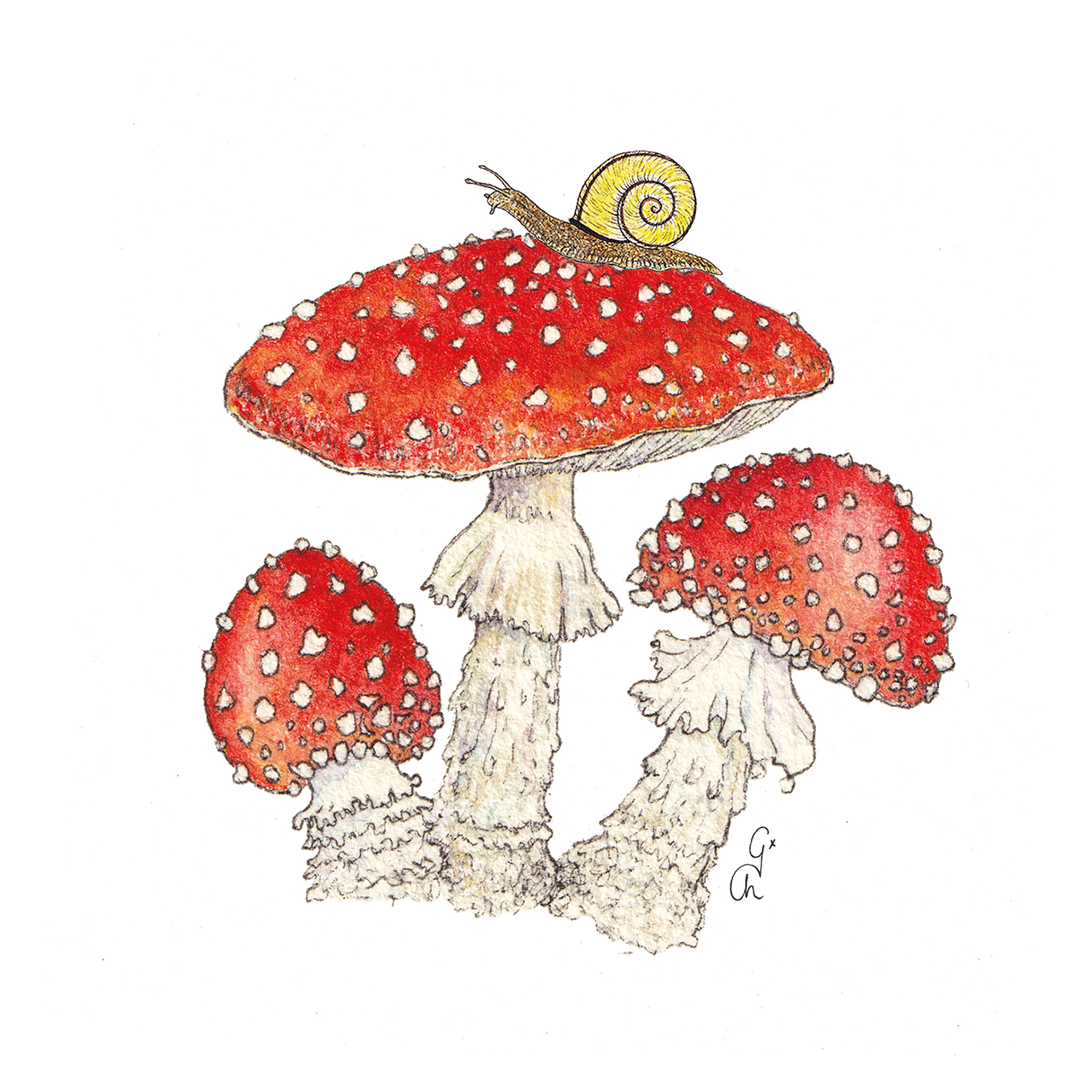 Servietten Claire 33x33cm