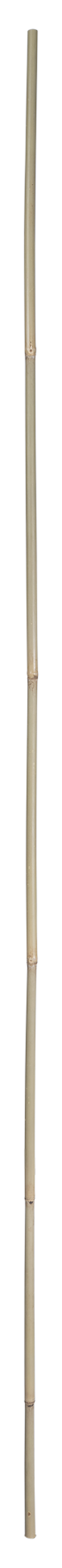 Bambusstab 180 cm 1 Stk. natur