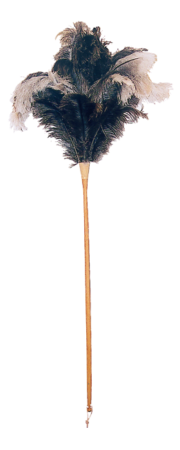Straussenwedel Buchenholz110cm