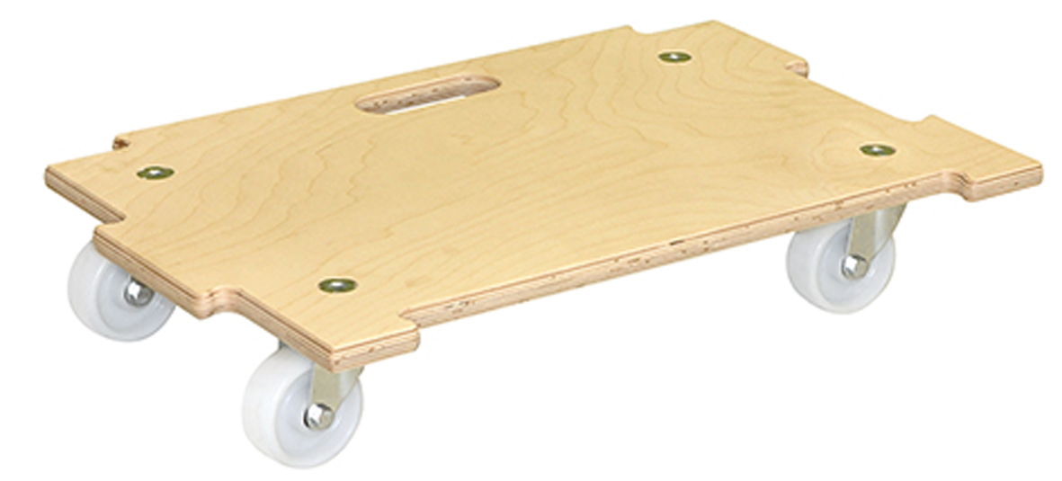 Kombi-Tra.roller 590 250 kg