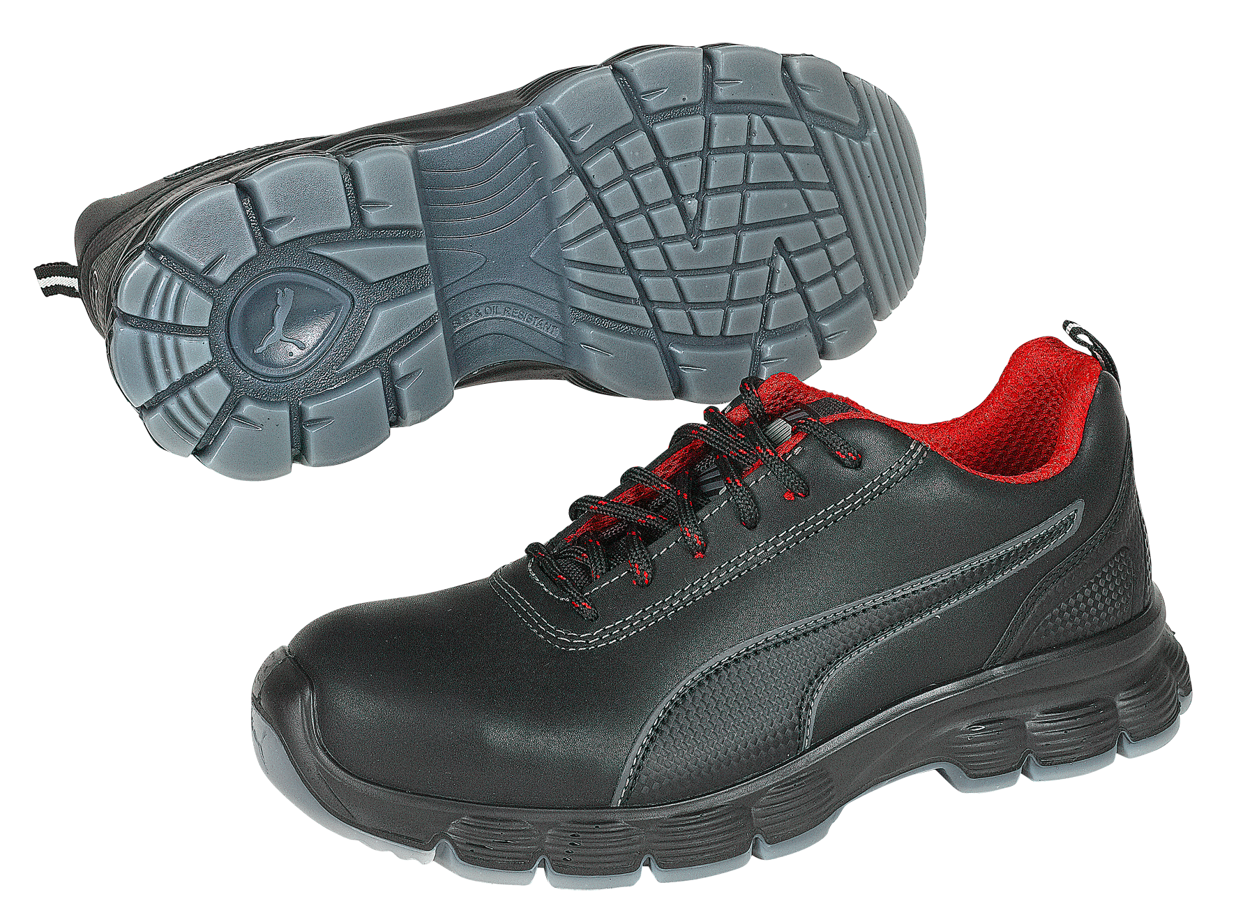Condor Low S3 44