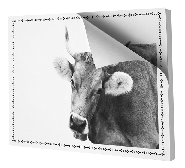 Papier Tischset Kuh ass. 48Bl.