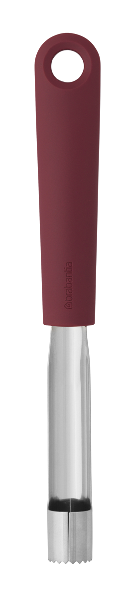 Apfelentkerner aubergine red