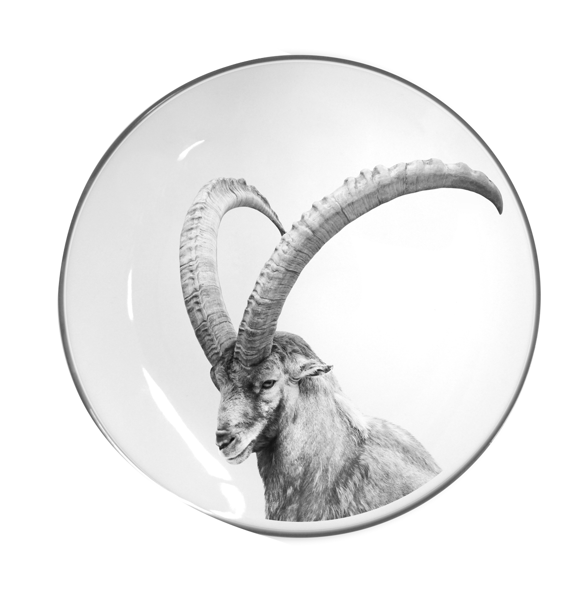 Teller flach Steinbock ws ø 26