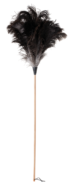 Straussenwedel Holzstiel 110cm